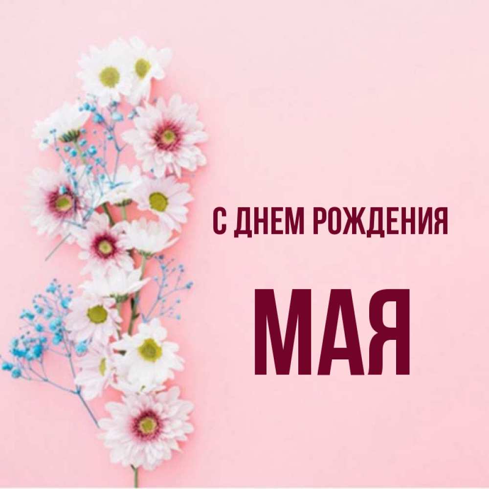 Открытка на каждый день с именем, Мая С днем рождения Родная моя с днем рождения тебя картинка с цветами белыми и голубыми Прикольная открытка с пожеланием онлайн скачать бесплатно 