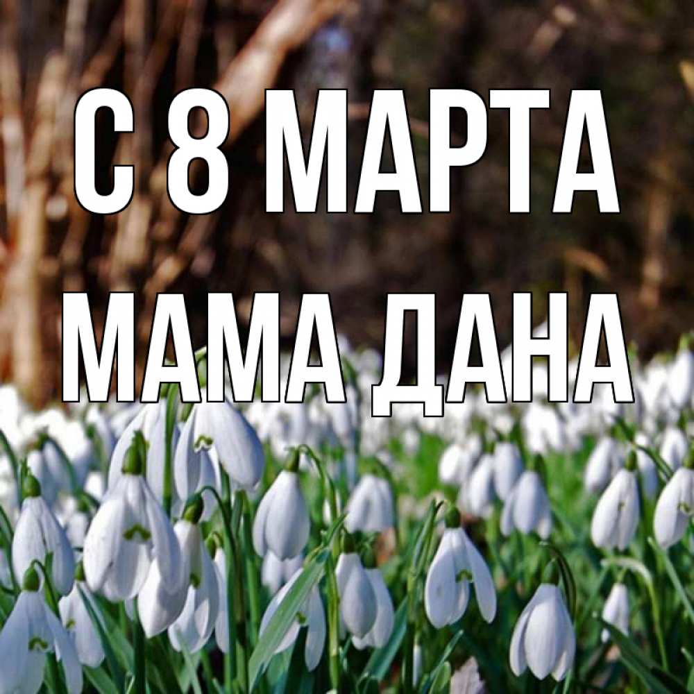 Открытка на каждый день с именем, Мама-Дана С 8 МАРТА с подснежниками 1 Прикольная открытка с пожеланием онлайн скачать бесплатно 