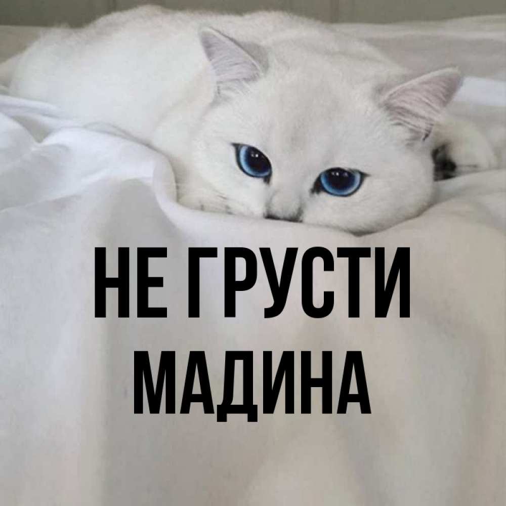 Картинка Не грусти, мадина