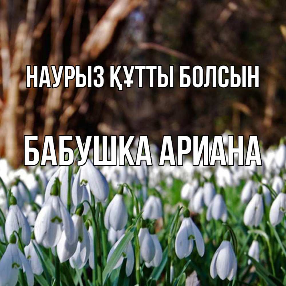 Открытка на каждый день с именем, Бабушка-Ариана Наурыз құтты болсын с подснежниками 1 Прикольная открытка с пожеланием онлайн скачать бесплатно 