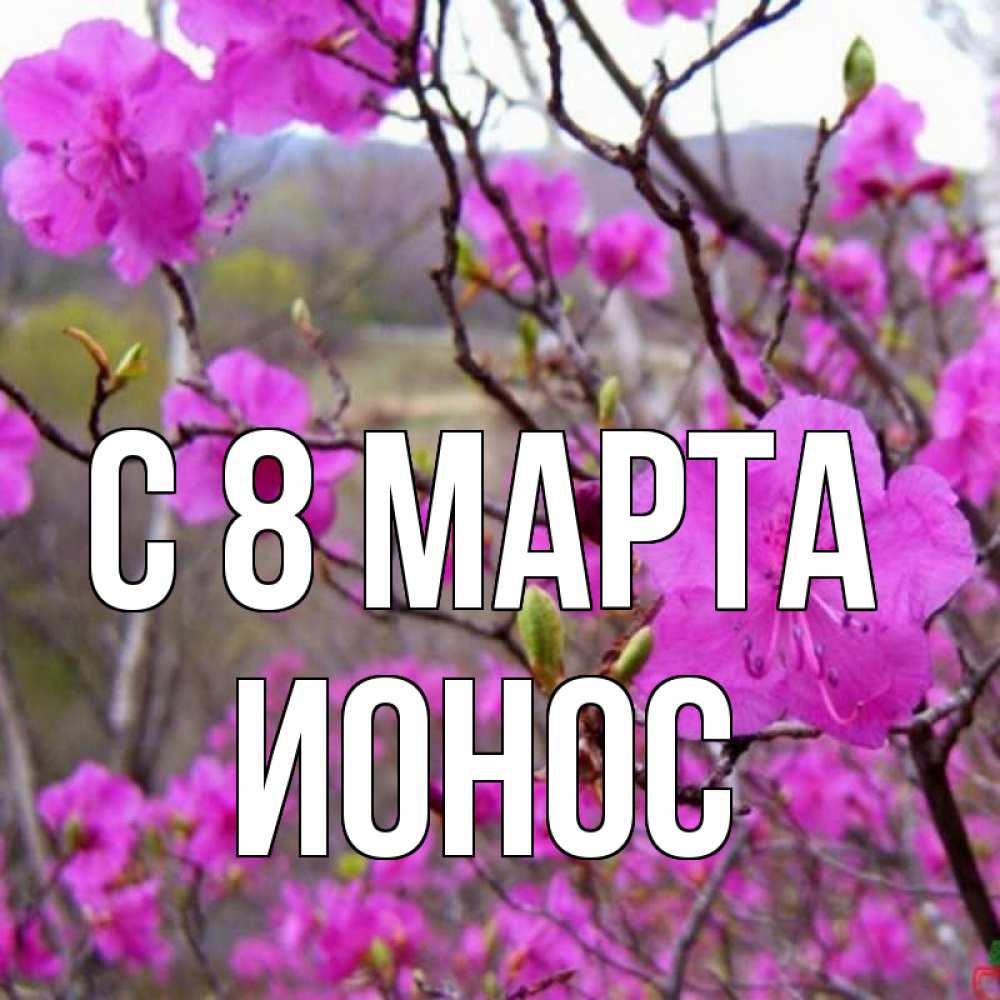 Картинка С 8 МАРТА, Ионос