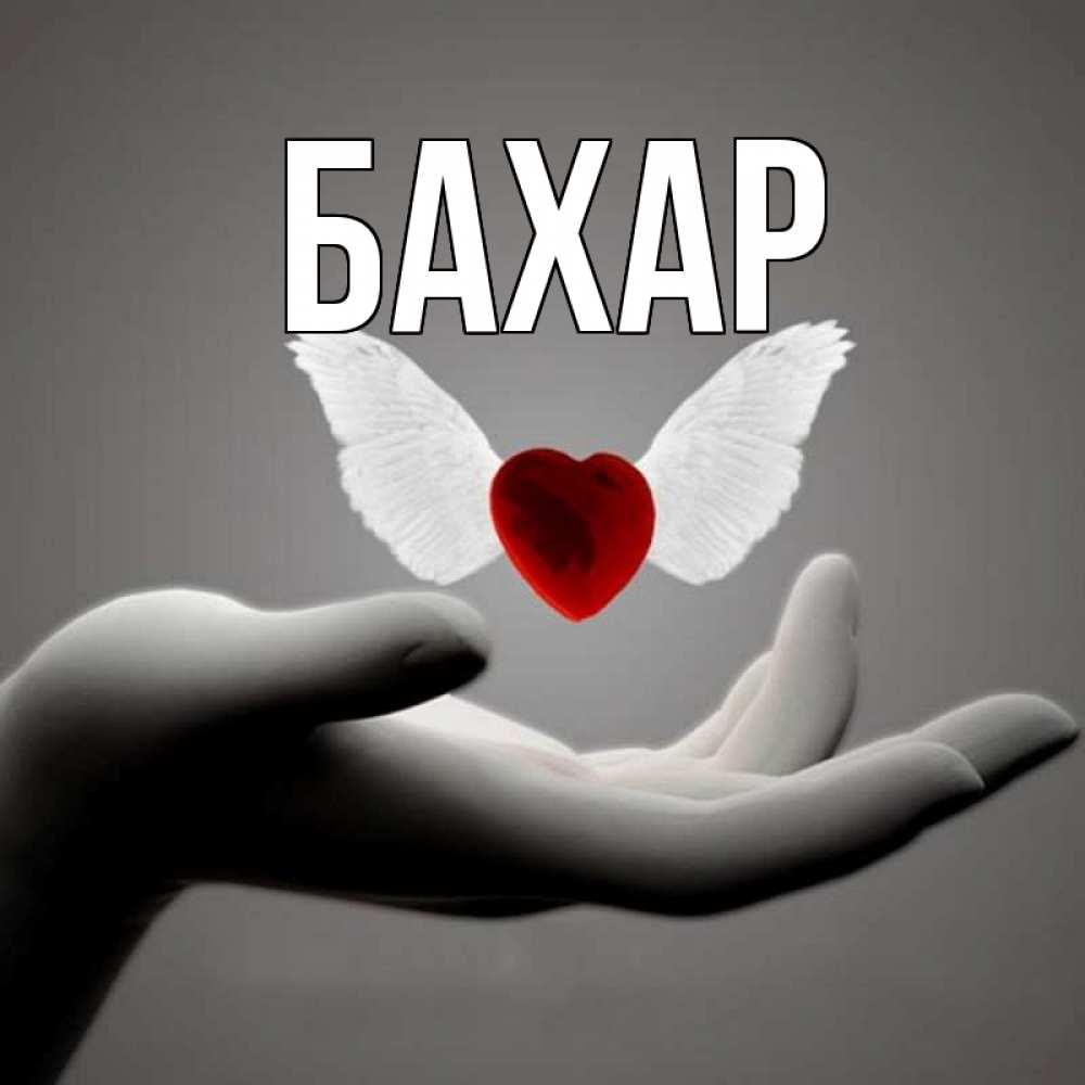 Картинка  с именем , Бахар
