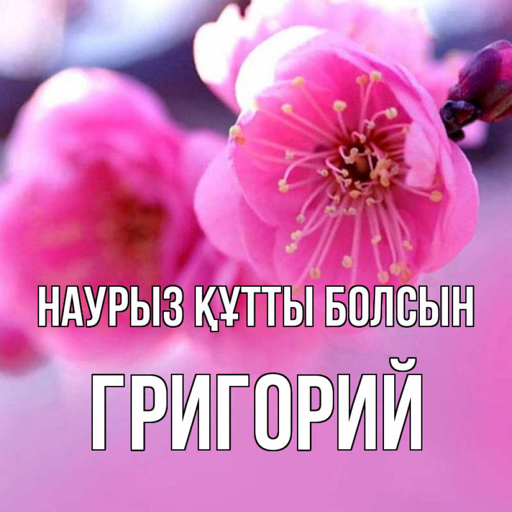 Открытка на каждый день с именем, Григорий Наурыз құтты болсын наурыз мейрам Прикольная открытка с пожеланием онлайн скачать бесплатно 