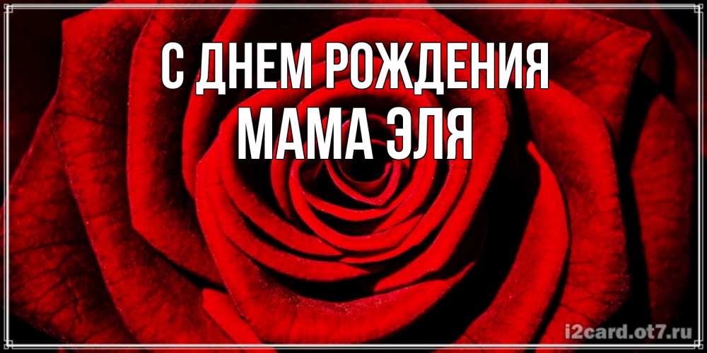 Открытка на каждый день с именем, Мама-Эля С днем рождения алая роза Прикольная открытка с пожеланием онлайн скачать бесплатно 