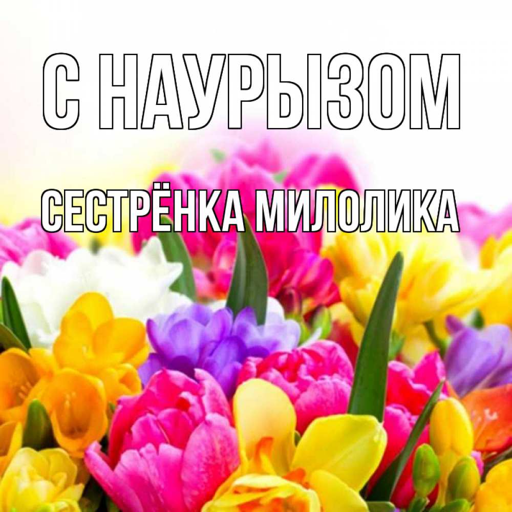 Открытка на каждый день с именем, Сестрёнка-Милолика С наурызом тюльпаны Прикольная открытка с пожеланием онлайн скачать бесплатно 