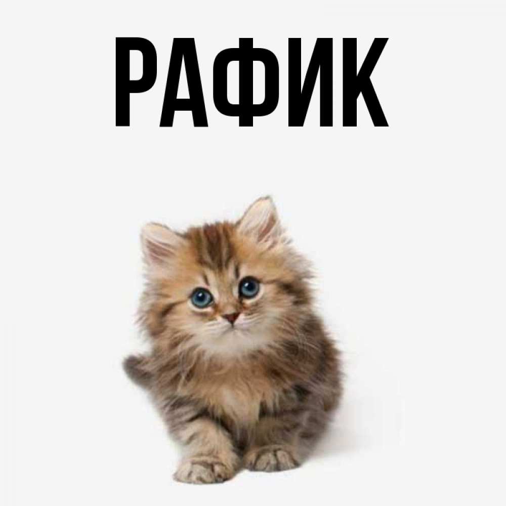 Поздравительные, открытки по имени рафик