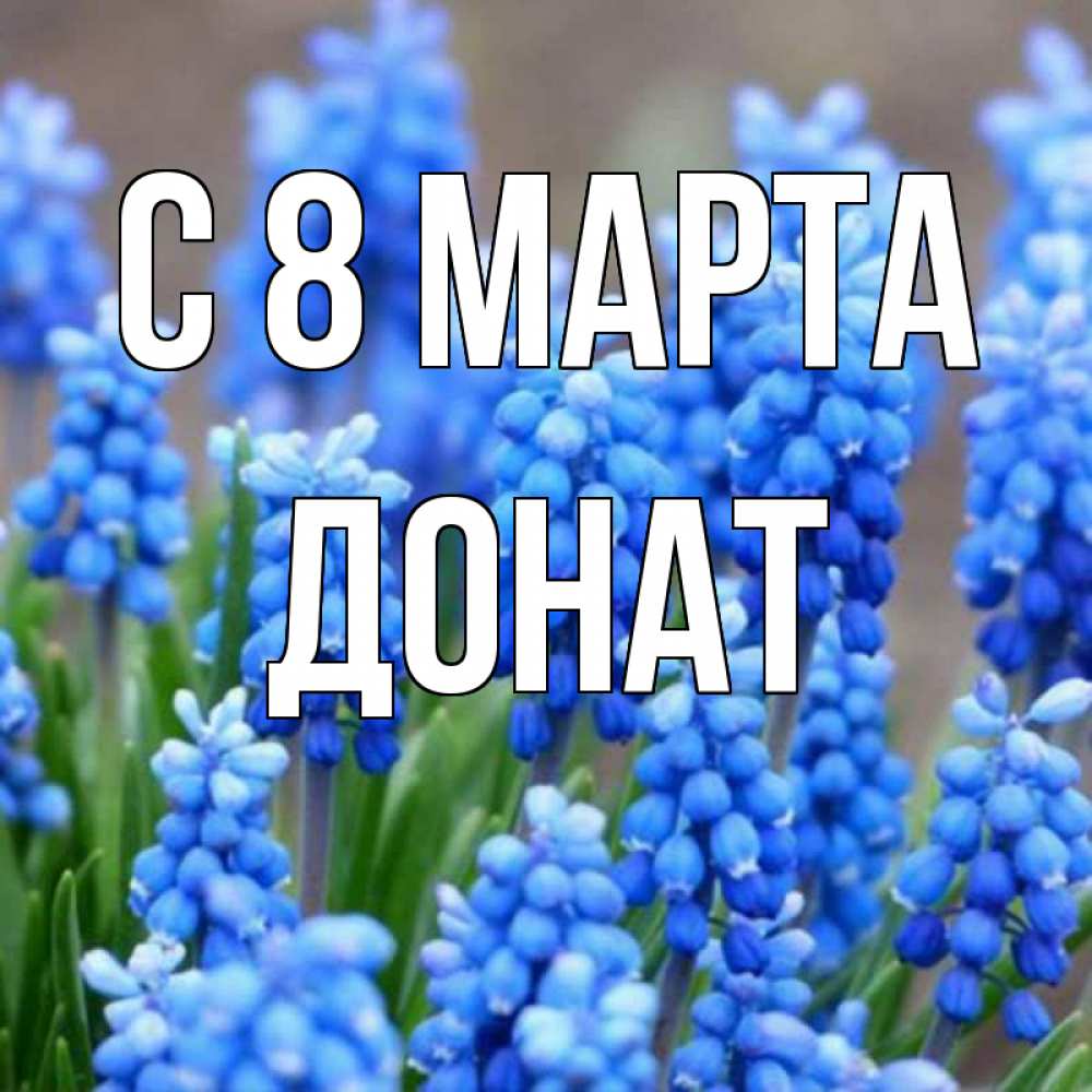 Открытка на каждый день с именем, Донат С 8 МАРТА Поздравительная открытка для женщин с цветами на праздничную дату Прикольная открытка с пожеланием онлайн скачать бесплатно 