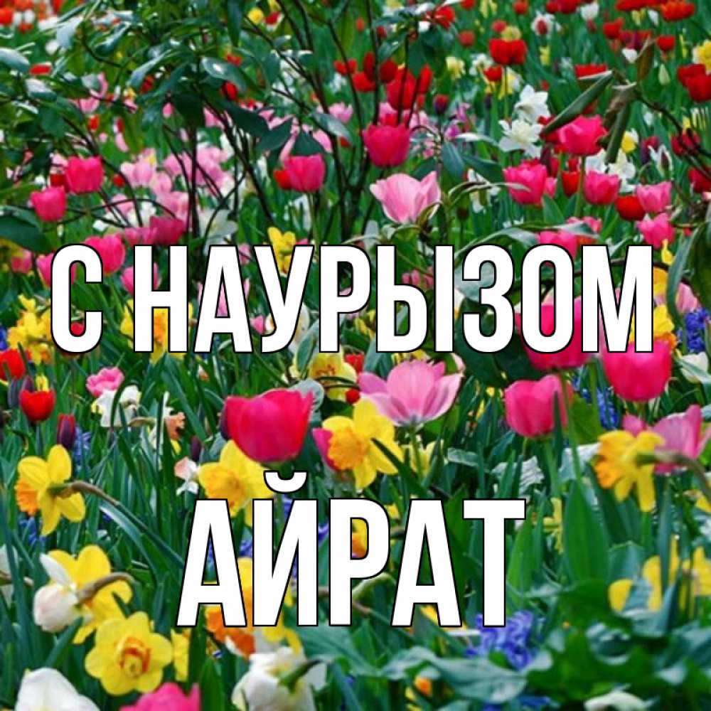 Открытка на каждый день с именем, Айрат С наурызом с наурызом праздником весны поздравления для женщины Прикольная открытка с пожеланием онлайн скачать бесплатно 