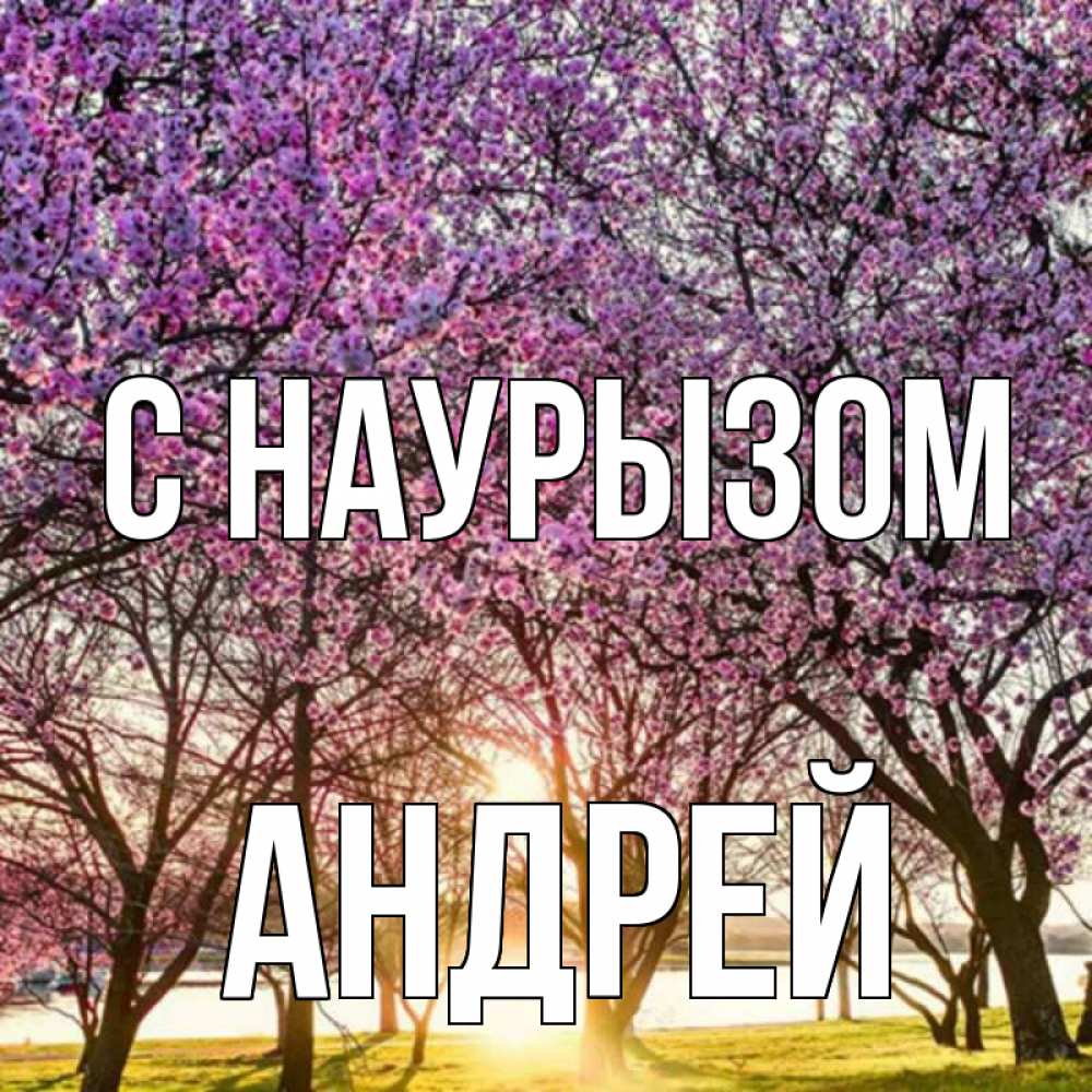 Открытка на каждый день с именем, Андрей С наурызом праздник весны наурыз Прикольная открытка с пожеланием онлайн скачать бесплатно 