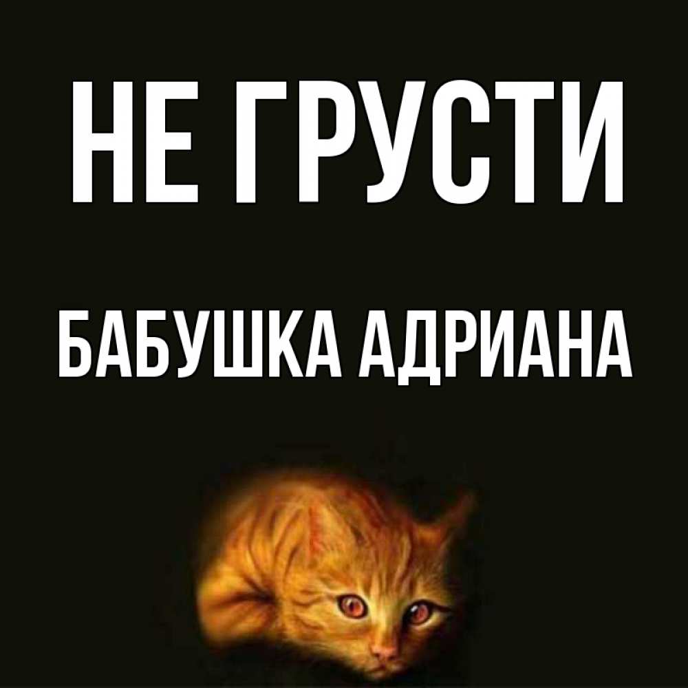 Открытка на каждый день с именем, Бабушка-Адриана Не грусти лежащий кот в темноте Прикольная открытка с пожеланием онлайн скачать бесплатно 
