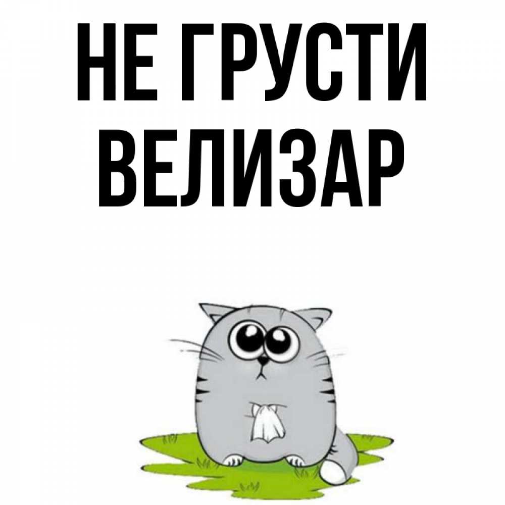 Открытка на каждый день с именем, Велизар Не грусти грустный котяра Прикольная открытка с пожеланием онлайн скачать бесплатно 