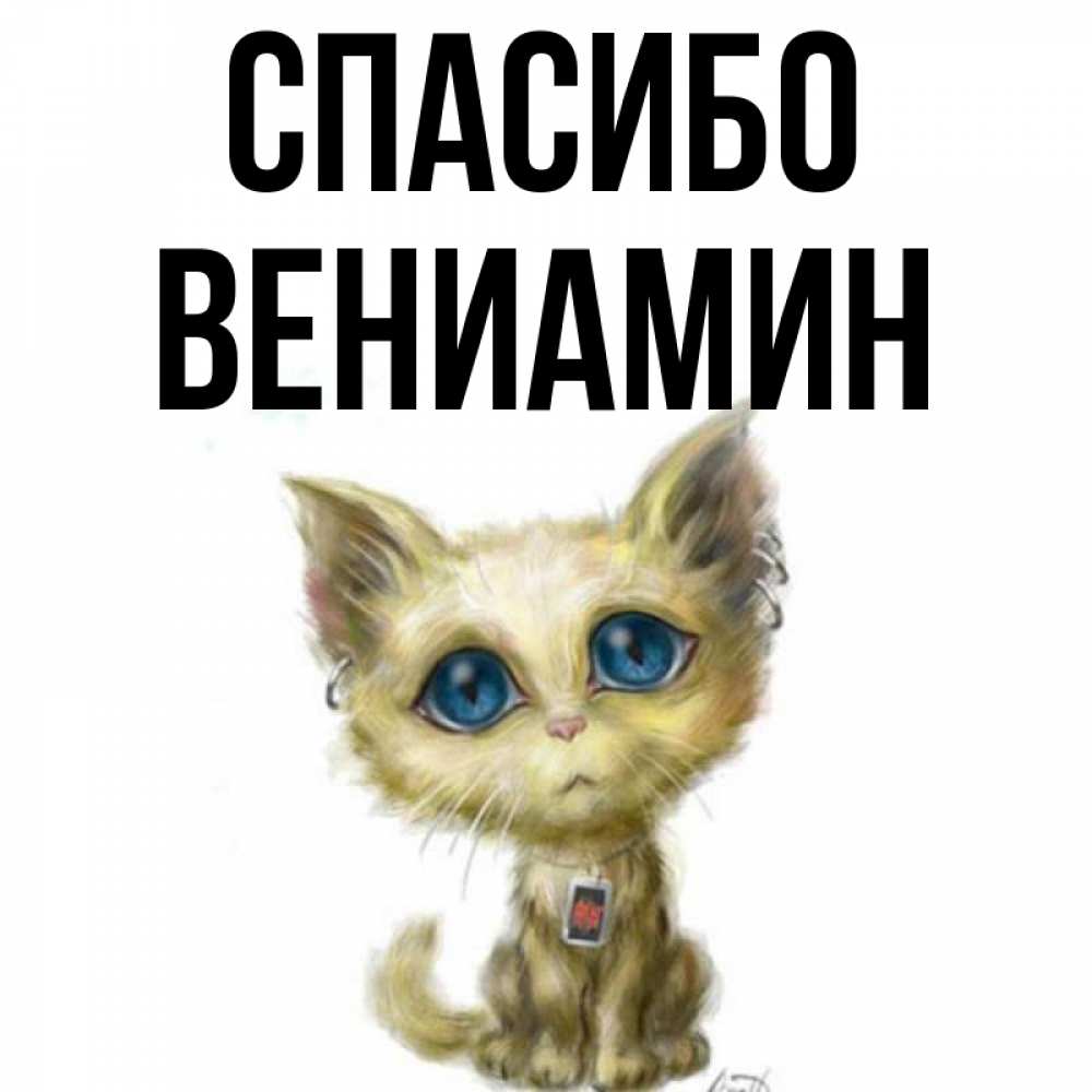 Открытка на каждый день с именем, Вениамин Спасибо рисованный кот благодарит вас Прикольная открытка с пожеланием онлайн скачать бесплатно 
