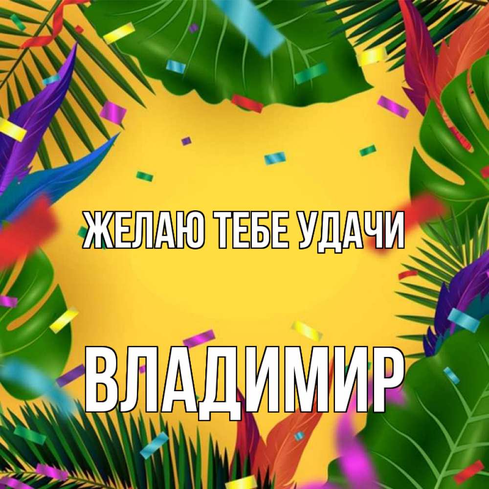 Открытка на каждый день с именем, Владимир Желаю тебе удачи тропики Прикольная открытка с пожеланием онлайн скачать бесплатно 