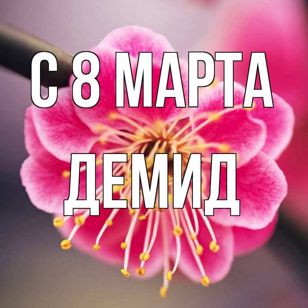 Открытка на каждый день с именем, Демид С 8 МАРТА цветы Прикольная открытка с пожеланием онлайн скачать бесплатно 