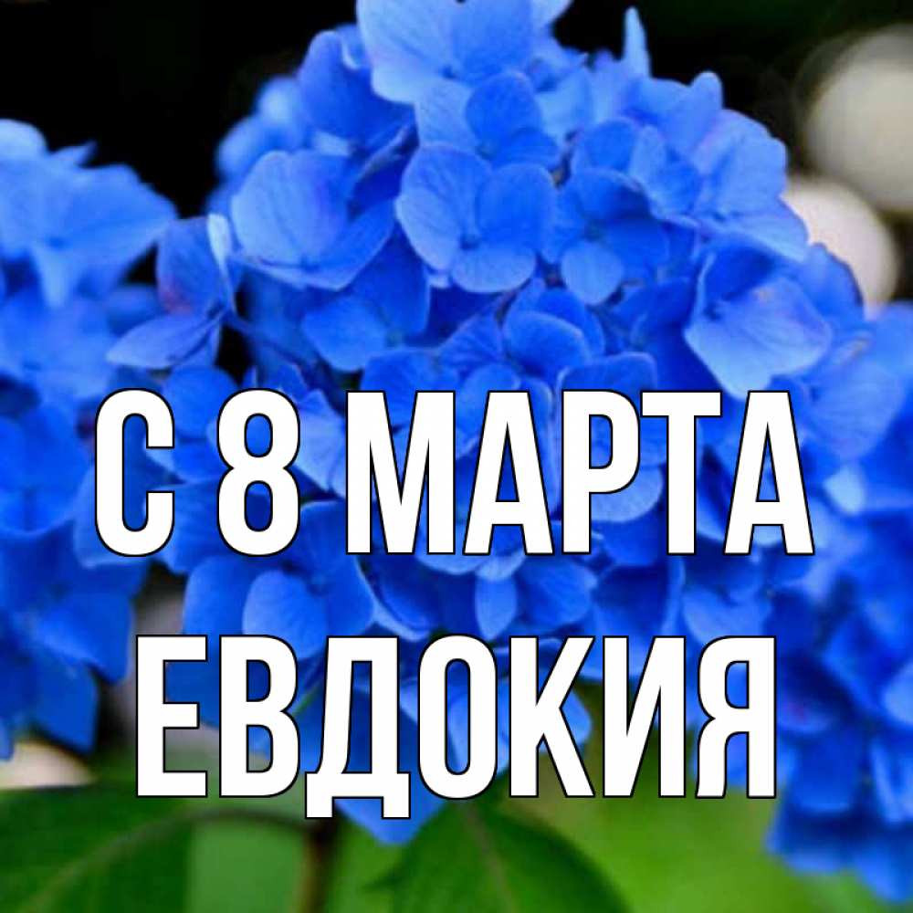 Открытка на каждый день с именем, Евдокия С 8 МАРТА синие цветы Прикольная открытка с пожеланием онлайн скачать бесплатно 