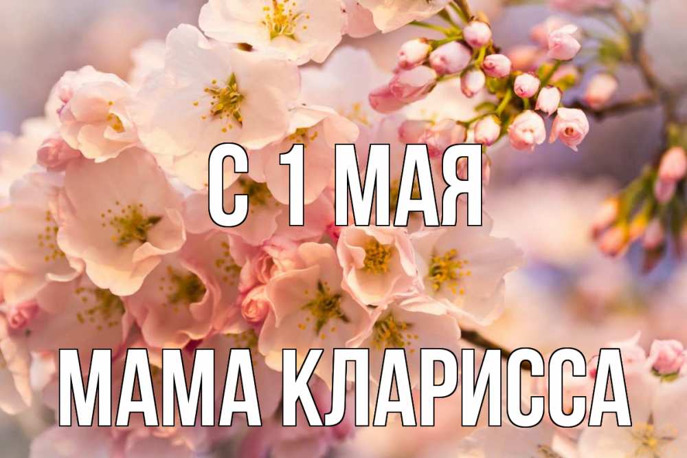 Открытка на каждый день с именем, Мама-Кларисса С 1 мая С 1 мая Прикольная открытка с пожеланием онлайн скачать бесплатно 