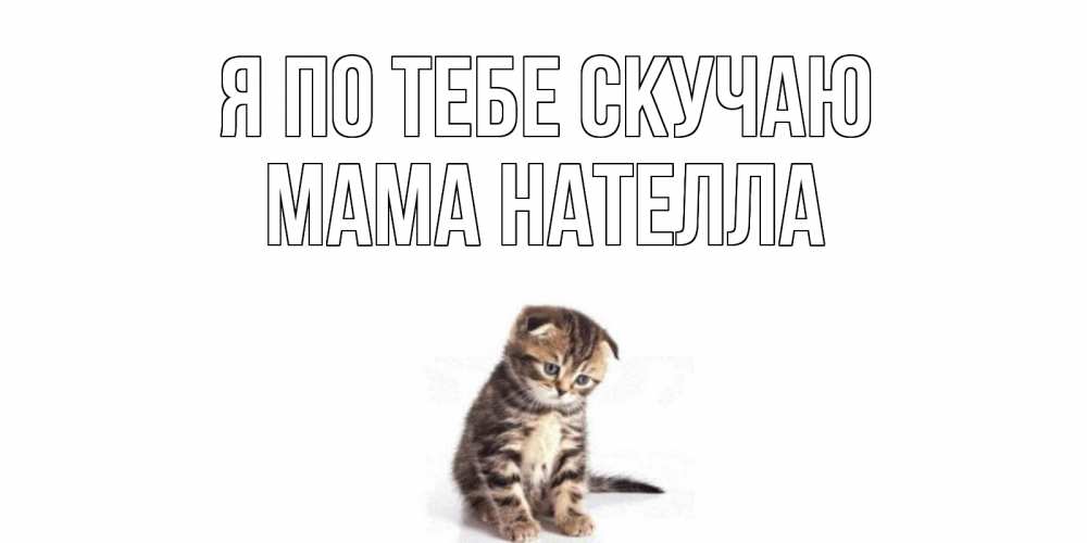 Открытка на каждый день с именем, Мама-Нателла Я по тебе скучаю кот Прикольная открытка с пожеланием онлайн скачать бесплатно 