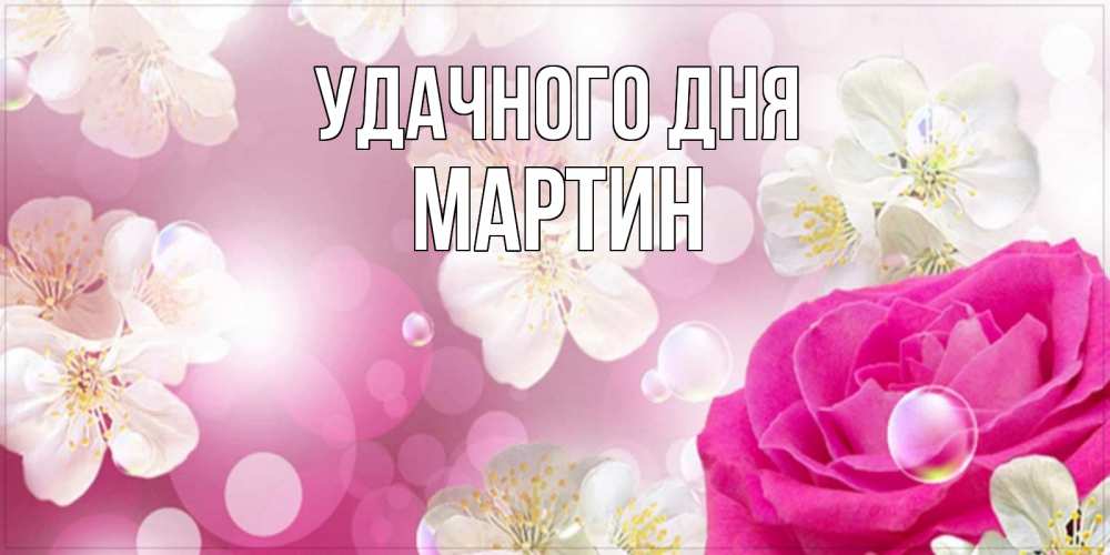 Открытка на каждый день с именем, Мартин Удачного дня красивые цветы Прикольная открытка с пожеланием онлайн скачать бесплатно 