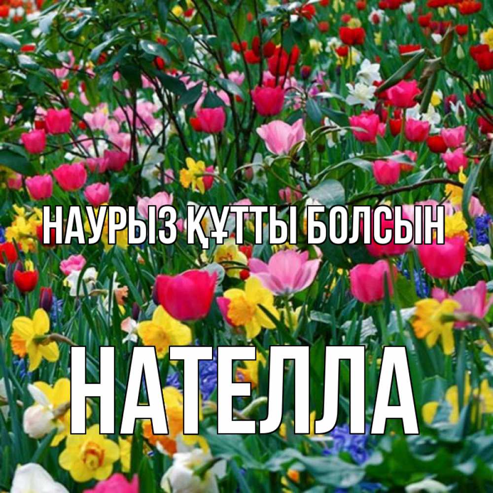 Открытка на каждый день с именем, Нателла Наурыз құтты болсын с наурызом поздравления для женщины Прикольная открытка с пожеланием онлайн скачать бесплатно 