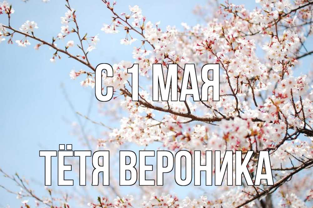 Открытка на каждый день с именем, Тётя-Вероника С 1 мая С 1 мая Прикольная открытка с пожеланием онлайн скачать бесплатно 