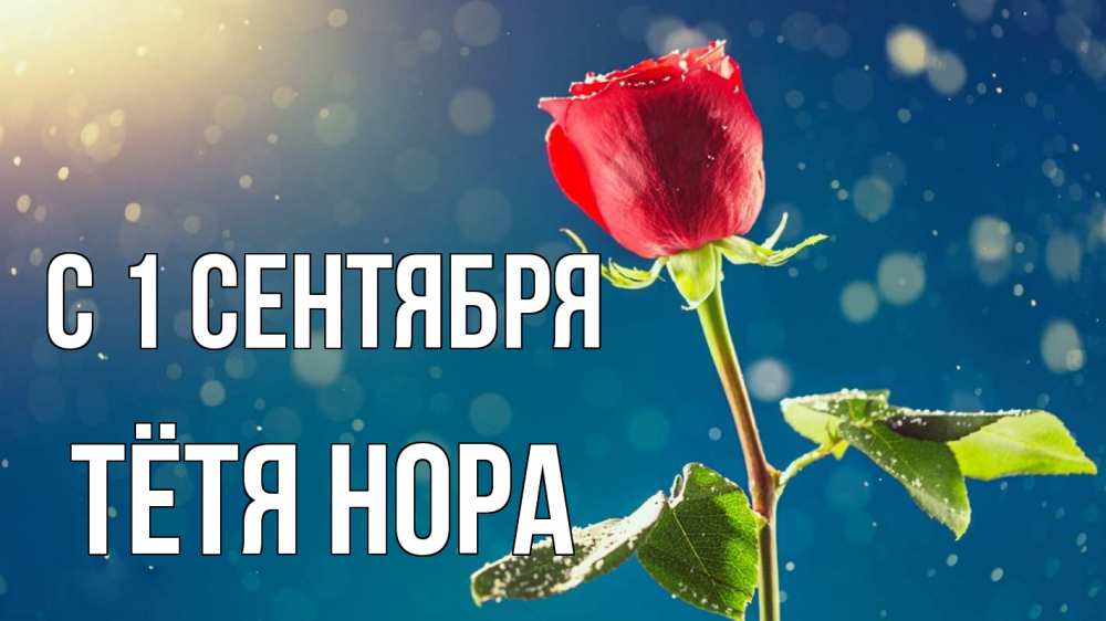 Открытка на каждый день с именем, Тётя-Нора С 1 сентября с днем знаний Прикольная открытка с пожеланием онлайн скачать бесплатно 