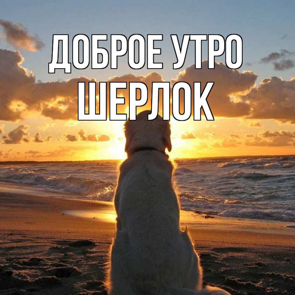 Открытка на каждый день с именем, Шерлок Доброе утро восход солнца Прикольная открытка с пожеланием онлайн скачать бесплатно 