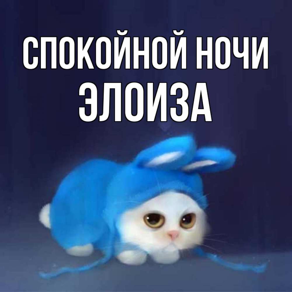 Открытка на каждый день с именем, Элоиза Спокойной ночи кот в голубом костюме кролика с ушками Прикольная открытка с пожеланием онлайн скачать бесплатно 