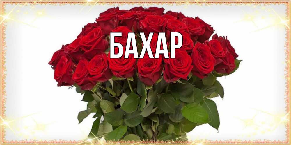 Открытка на каждый день с именем, Бахар Главная поздравляю с наурызом Прикольная открытка с пожеланием онлайн скачать бесплатно 