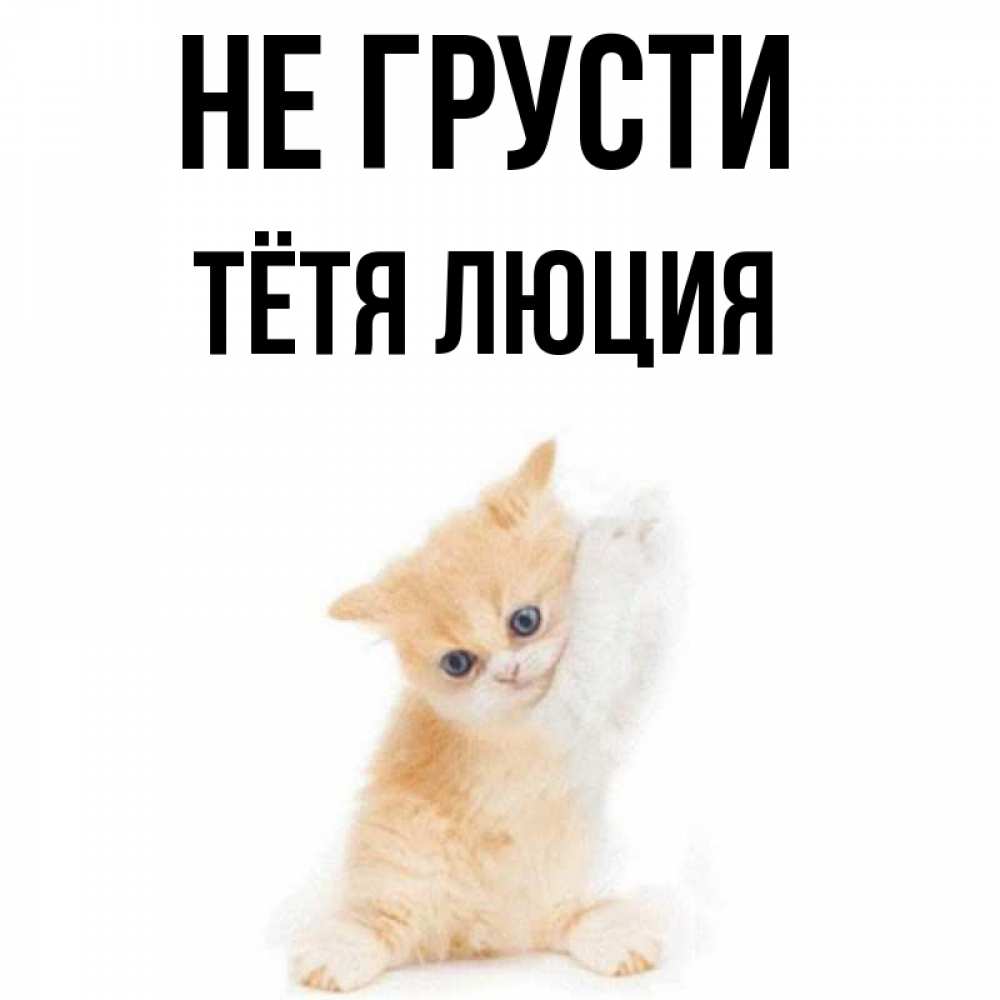 Открытка на каждый день с именем, Тётя-Люция Не грусти просящий кот Прикольная открытка с пожеланием онлайн скачать бесплатно 