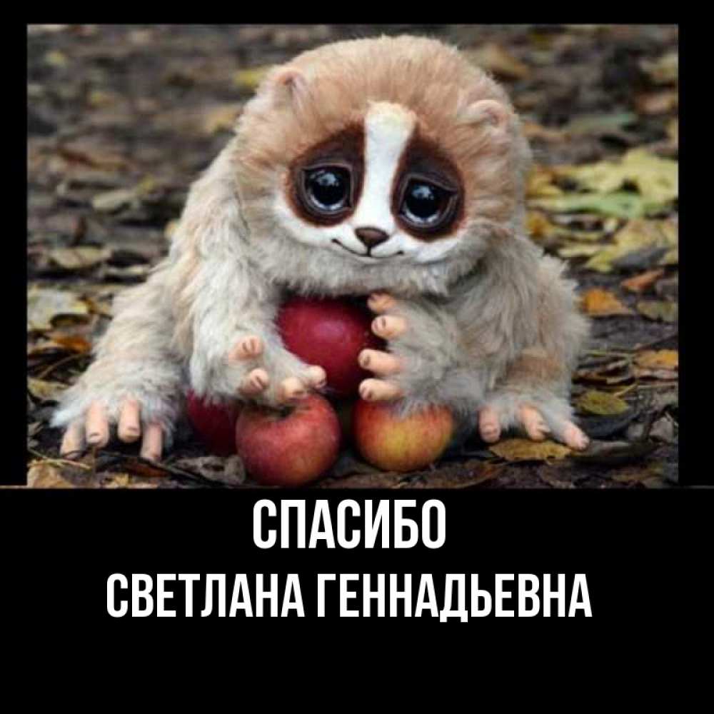 Спасибо геннадьевна Спасибо геннадьевна