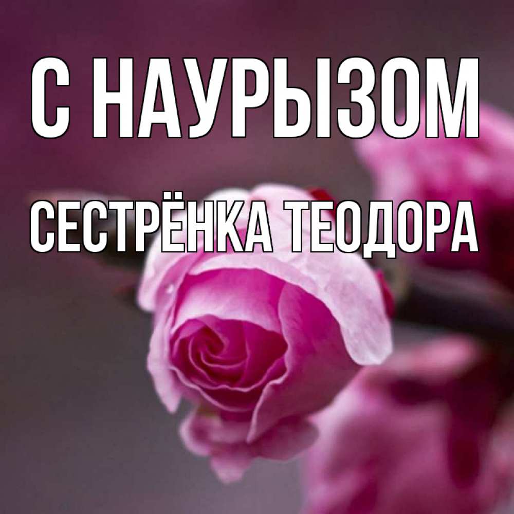 Открытка на каждый день с именем, Сестрёнка-Теодора С наурызом весна Прикольная открытка с пожеланием онлайн скачать бесплатно 