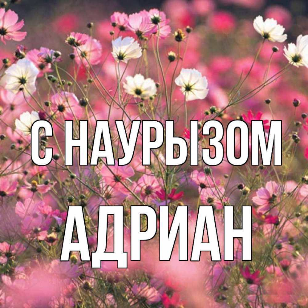 Открытка на каждый день с именем, Адриан С наурызом красиво 1 Прикольная открытка с пожеланием онлайн скачать бесплатно 