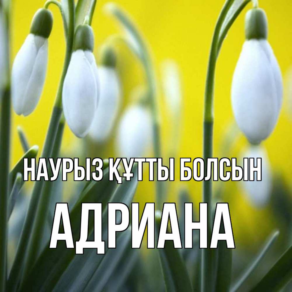 Открытка на каждый день с именем, Адриана Наурыз құтты болсын весенние цветы Прикольная открытка с пожеланием онлайн скачать бесплатно 
