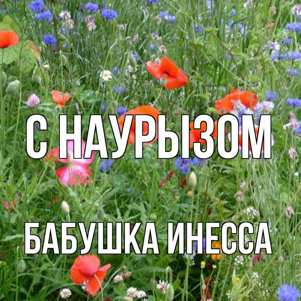 Открытка на каждый день с именем, Бабушка-Инесса С наурызом праздник весны наурыз супер открытка Прикольная открытка с пожеланием онлайн скачать бесплатно 