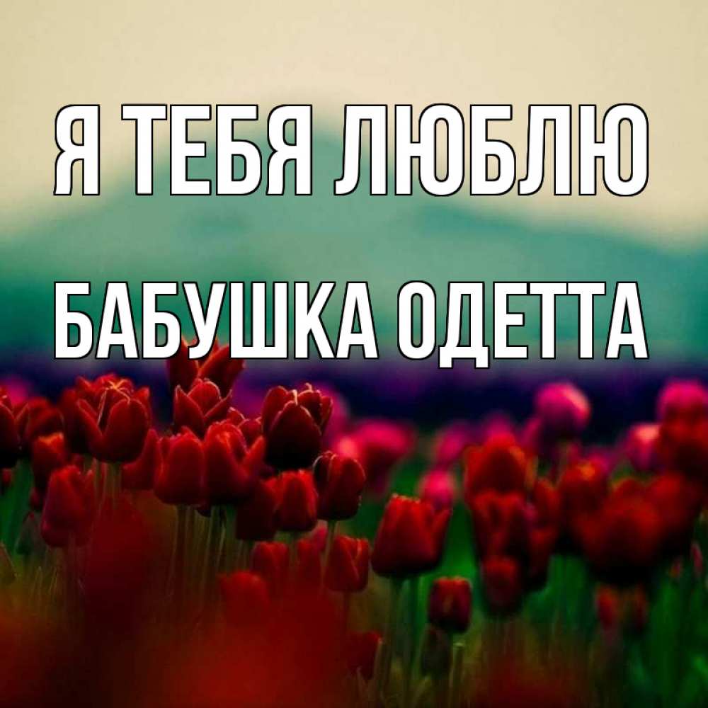 Открытка на каждый день с именем, Бабушка-Одетта Я тебя люблю тюльпаны 4 Прикольная открытка с пожеланием онлайн скачать бесплатно 