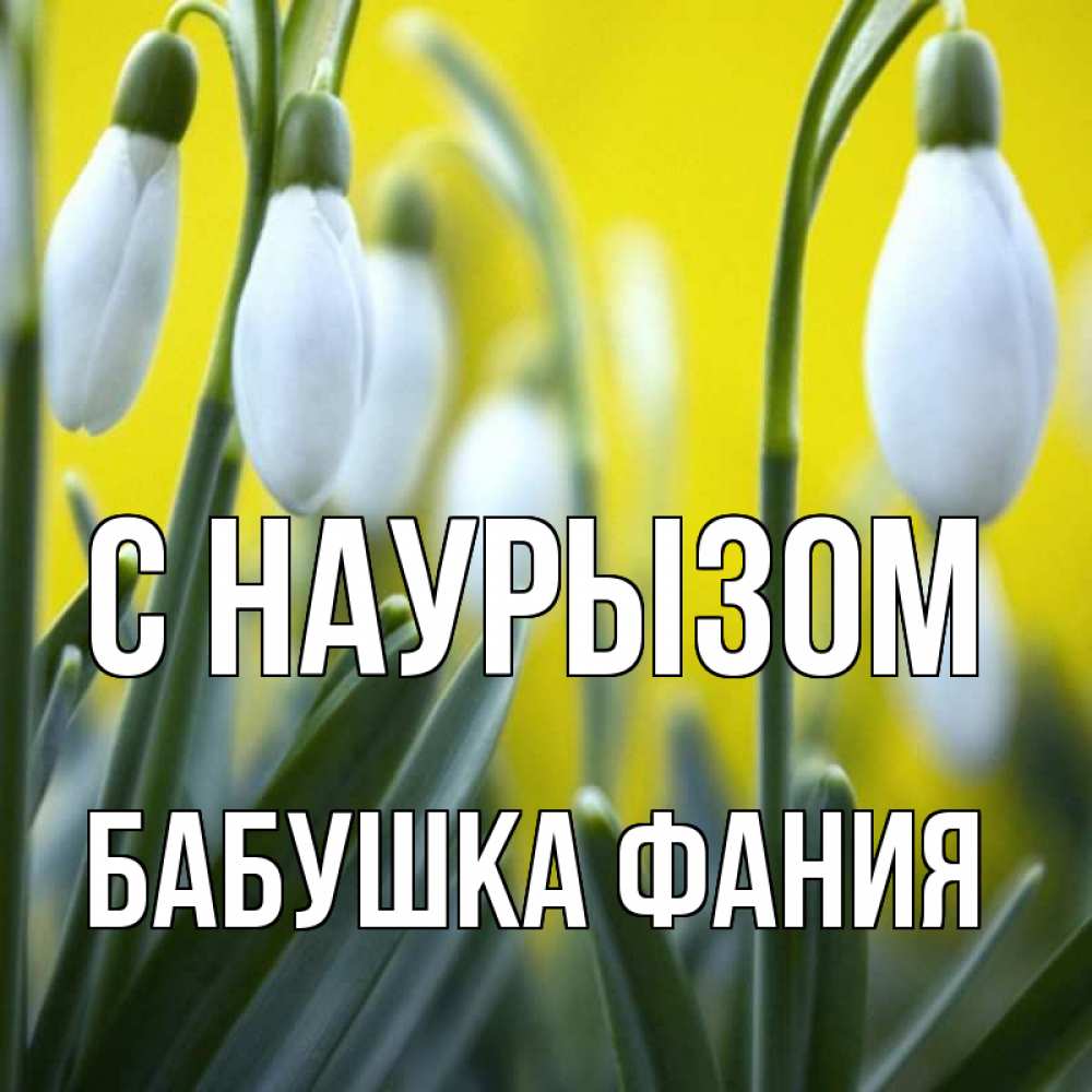 Открытка на каждый день с именем, Бабушка-Фания С наурызом весенние цветы Прикольная открытка с пожеланием онлайн скачать бесплатно 