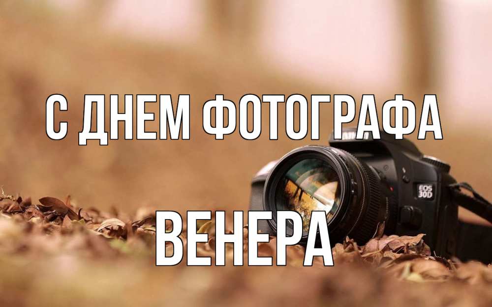 Открытка на каждый день с именем, Венера С днем фотографа с днем фотографа Прикольная открытка с пожеланием онлайн скачать бесплатно 