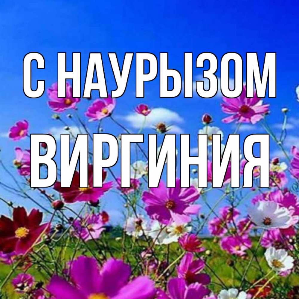 Открытка на каждый день с именем, Виргиния С наурызом цветы Прикольная открытка с пожеланием онлайн скачать бесплатно 