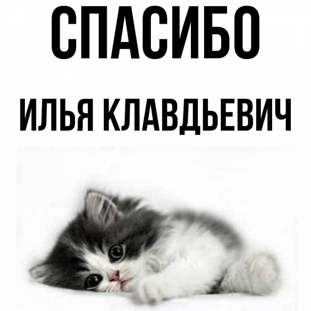 Спасибо Илья За Что