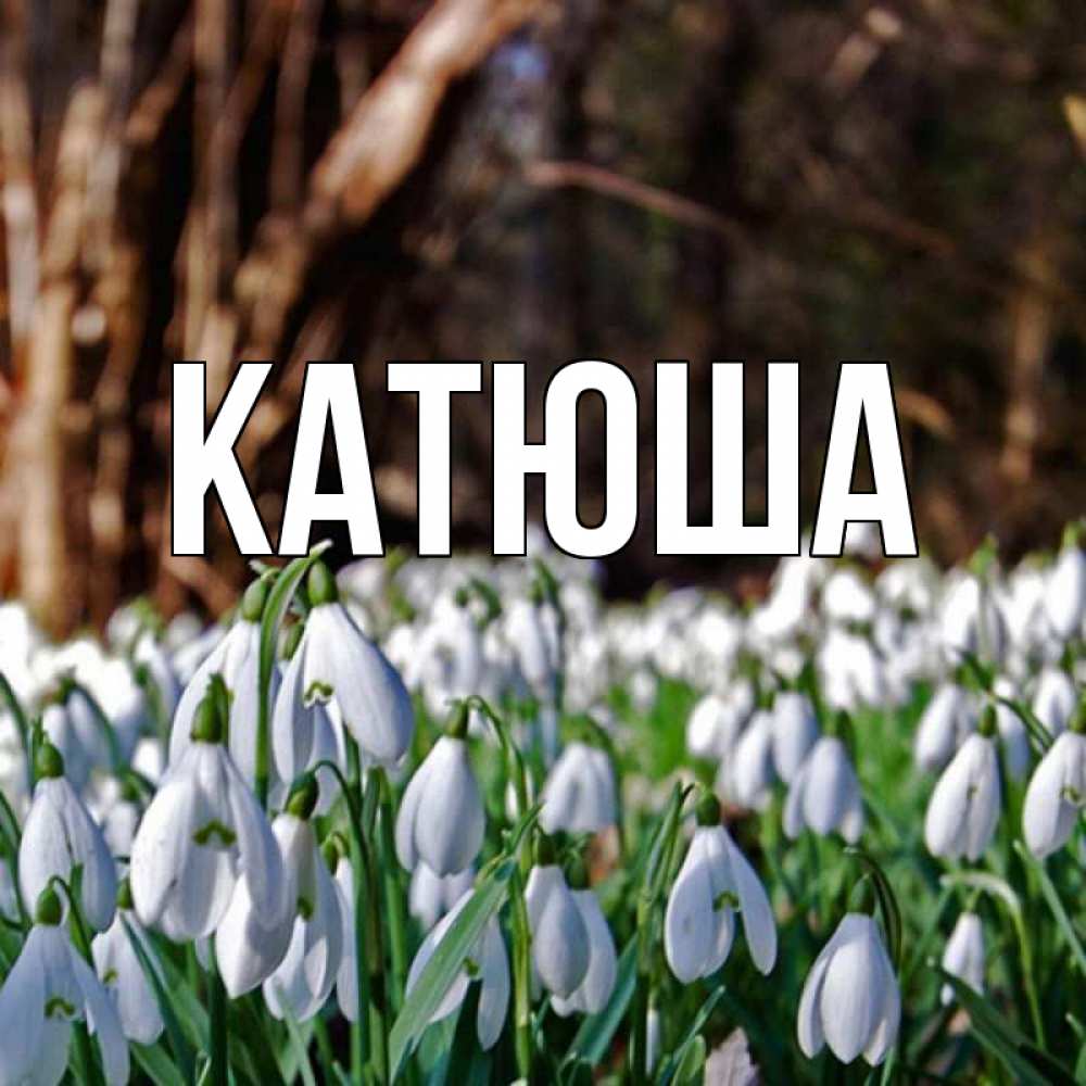 Открытка на каждый день с именем, Катюша Главная с подснежниками 1 Прикольная открытка с пожеланием онлайн скачать бесплатно 