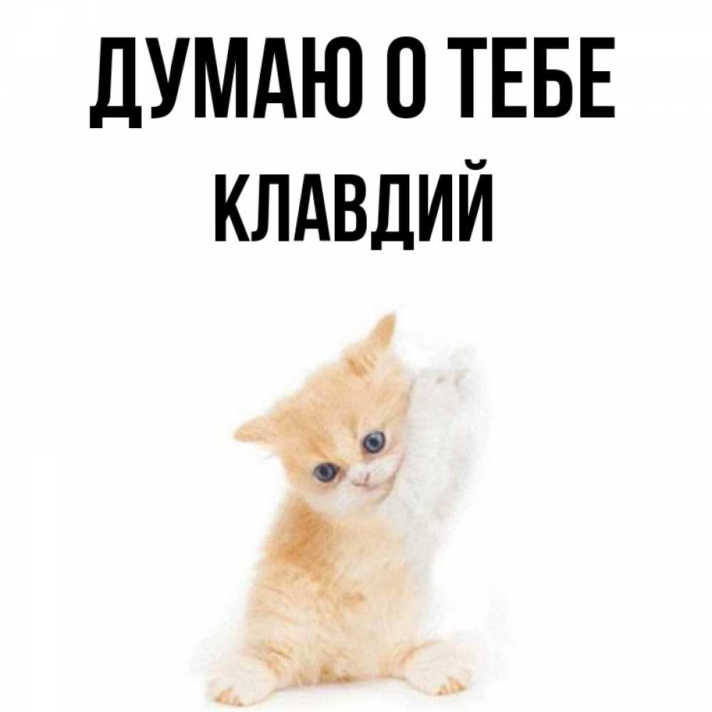 Открытка на каждый день с именем, Клавдий Думаю о тебе зверушки и милота Прикольная открытка с пожеланием онлайн скачать бесплатно 