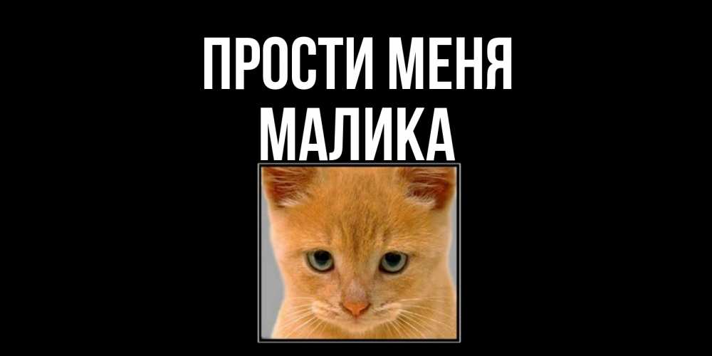 Открытка на каждый день с именем, Малика Прости меня рыжий грустный кот просит прощения Прикольная открытка с пожеланием онлайн скачать бесплатно 