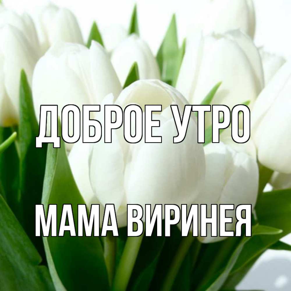 Открытка на каждый день с именем, Мама-Виринея Доброе утро открытки на каждый день по именам Прикольная открытка с пожеланием онлайн скачать бесплатно 