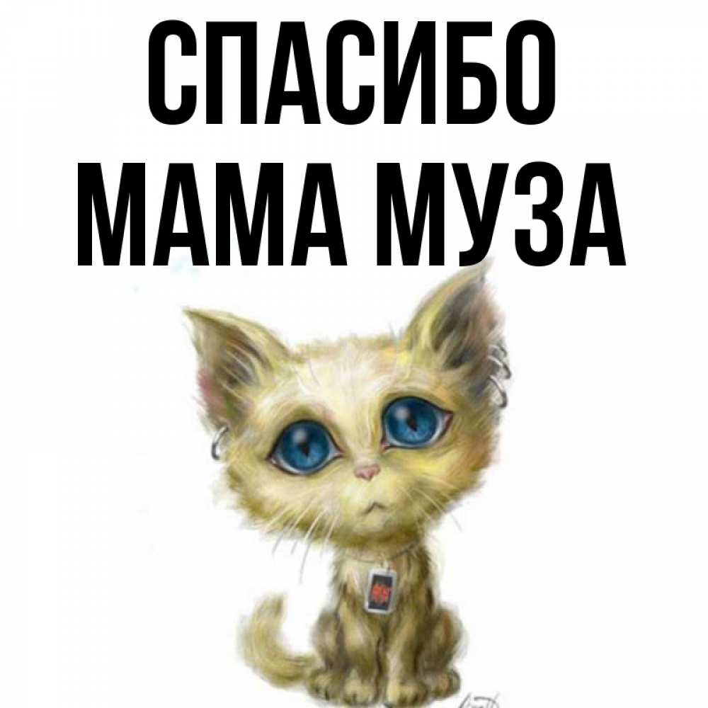 Открытка на каждый день с именем, Мама-Муза Спасибо рисованный кот благодарит вас Прикольная открытка с пожеланием онлайн скачать бесплатно 