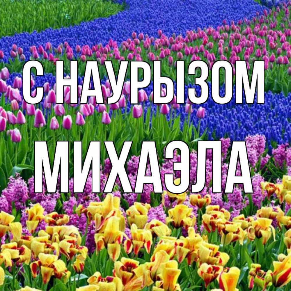 Открытка на каждый день с именем, Михаэла С наурызом цветы Прикольная открытка с пожеланием онлайн скачать бесплатно 