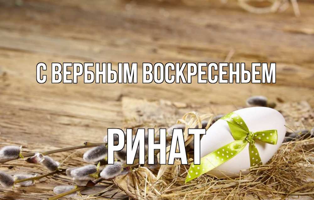 Открытка на каждый день с именем, Ринат С вербным воскресеньем верба Прикольная открытка с пожеланием онлайн скачать бесплатно 