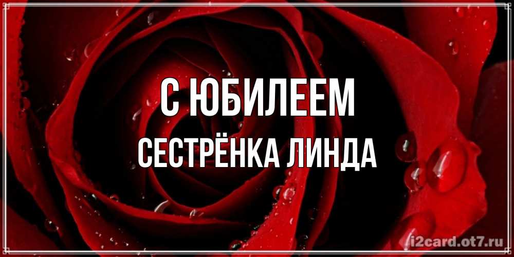 Открытка на каждый день с именем, Сестрёнка-Линда С юбилеем крупная бордовая роза Прикольная открытка с пожеланием онлайн скачать бесплатно 