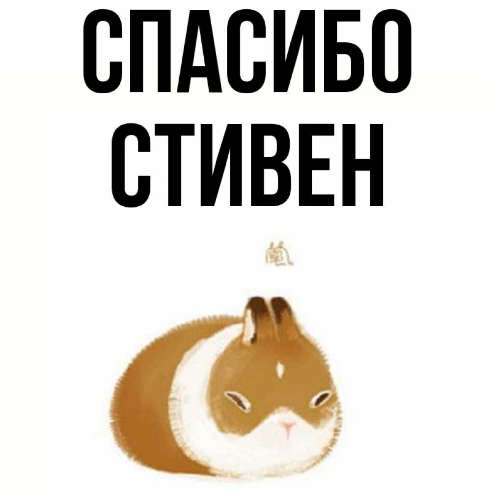 Открытка на каждый день с именем, Стивен Спасибо коричнево белый домашний питомец Прикольная открытка с пожеланием онлайн скачать бесплатно 