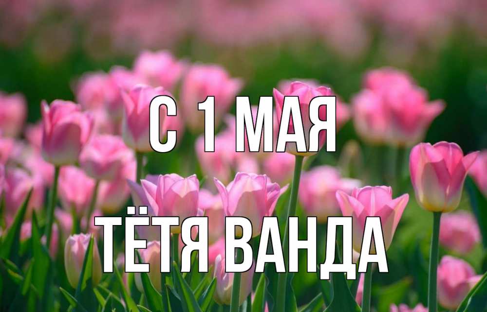 Открытка на каждый день с именем, Тётя-Ванда С 1 мая С 1 мая Прикольная открытка с пожеланием онлайн скачать бесплатно 