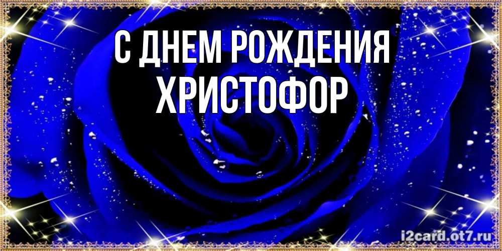 Открытка на каждый день с именем, Христофор С днем рождения голубые цветы в росе Прикольная открытка с пожеланием онлайн скачать бесплатно 